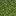 Moss Block